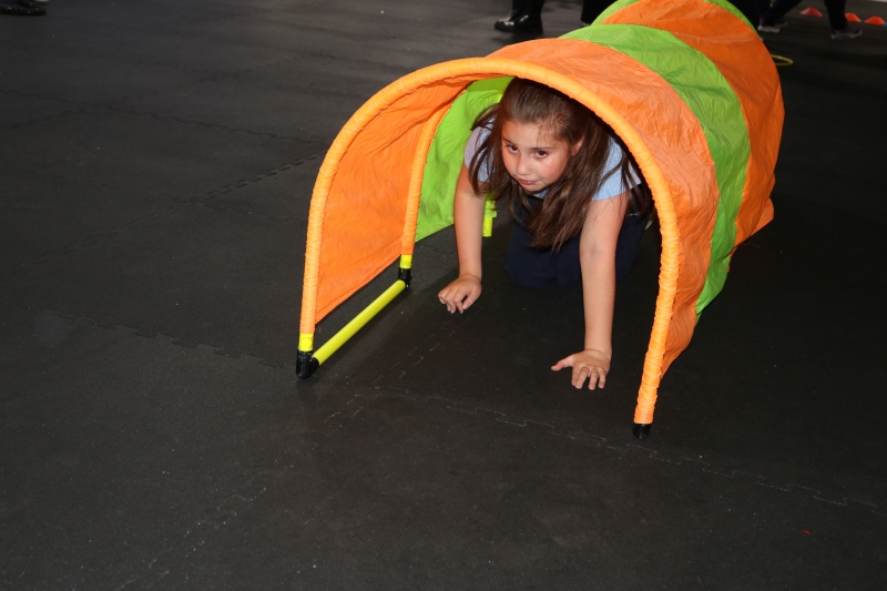 Día de la Actividad Física